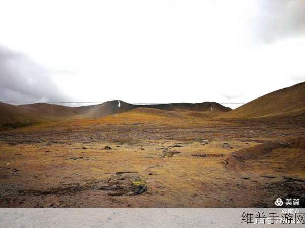 无人区编码6882jm：探索无人区的神秘与挑战：6882jm探险之旅