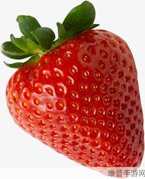 x草莓视频：探索新视角：草莓视频带你领略多彩世界的精彩瞬间！