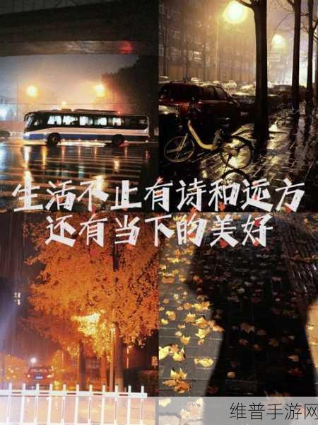 久久精品值得拥有：在生活的每个角落，享受不一样的精彩与美好。