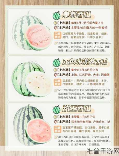 五一吃瓜明星爆料：五一假期明星揭秘：吃瓜盛宴与最新爆料齐上阵！