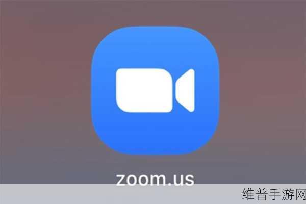 Zoom与牛性胶：Zoom与牛性胶的创新结合：开启虚拟交流新纪元