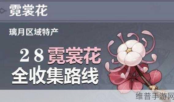 原神霓裳花采集全攻略，解锁角色突破材料的关键