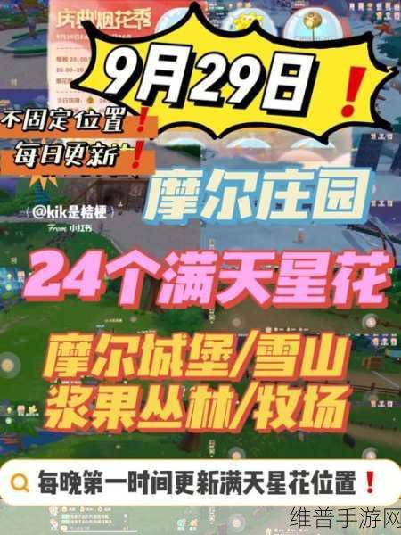 摩尔庄园，解锁满天星花位置的终极秘籍
