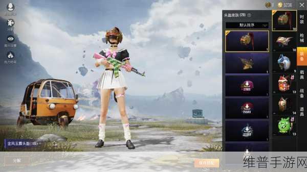 和平精英攻略，永久阳光火鸡降落伞获得全解析