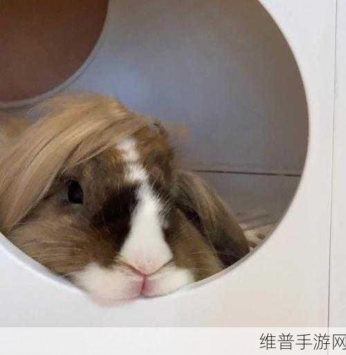 剑网3指尖江湖,萌宠兔呆呆获取全攻略