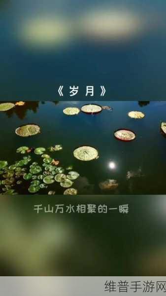 糖心柚子猫：甜蜜如糖的心灵陪伴，柚子猫带来的温暖时光。