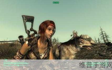 辐射3游戏配置：全面提升《辐射3》游戏配置，畅享极致冒险体验！