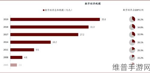 中国xxxx19：探索中国数字经济发展的新机遇与挑战