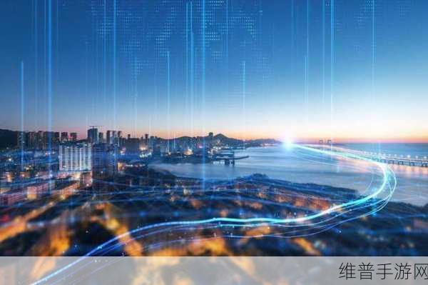 中国xxxx19：探索中国数字经济发展的新机遇与挑战