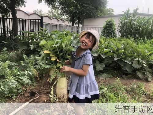 光腿拨萝卜：“光腿拨萝卜：田园生活中的趣味与挑战”