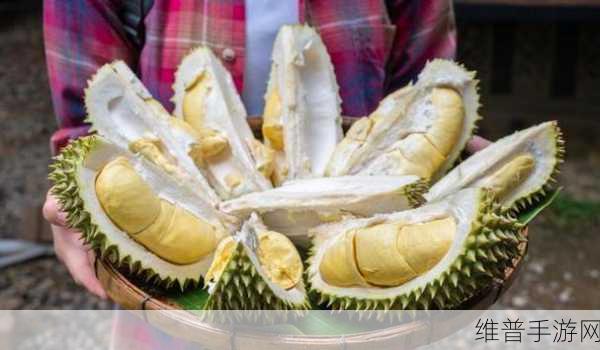 日产乱码榴莲：探索榴莲的魅力：日产乱码与美味的奇妙结合