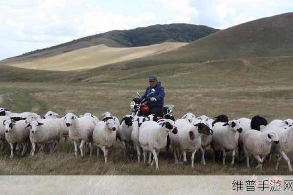 牧场VjdeCs人与交Kg：拓展牧场：人与交Kg的和谐共生新篇章