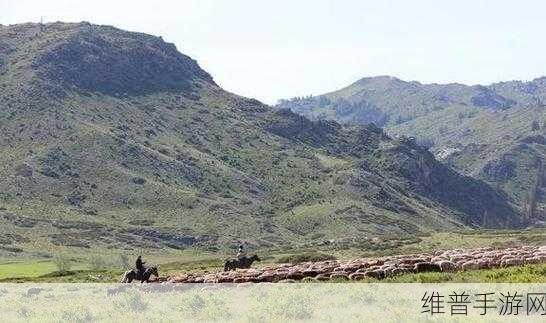 牧场VjdeCs人与交Kg：拓展牧场：人与交Kg的和谐共生新篇章