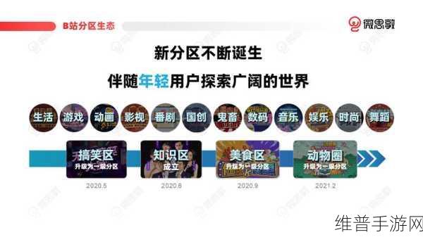 免费b站推广网站入口：如何有效拓展免费B站推广网站的入口与流量渠道