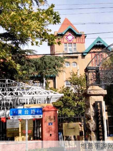 夜里十大黄台最新章节:夜幕降临时的十个秘密:揭开黄台神秘面纱