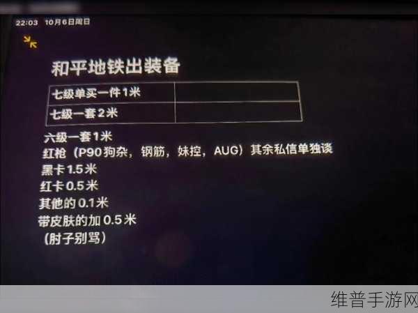 日本B站一卡二卡乱码软件：探索日本B站一卡二卡乱码软件的多样化应用与解决方案