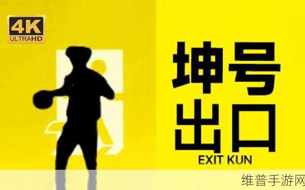 坤吧塞小洞：如何巧妙拓展坤吧塞小洞，提升使用体验与创意设计