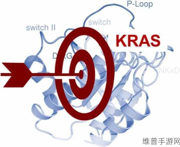 网站上的合集入口：1)选取+复制下面红色网址,▼https：／／www.pathtoemmaus.org／：访问“通往厄马乌之路”网站，探索丰富的灵修与成长资源。