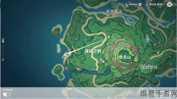 原神手游全攻略，岻伽的海螺全收集位置详解