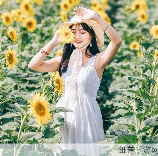 野花社区在线:探索野花社区在线:发现自然之美与生活的乐趣