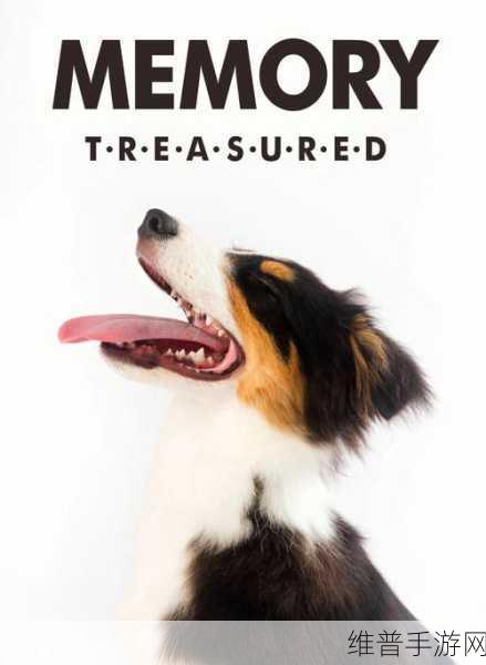 AAAA级毛皮最火的一句狗：探索AAAA级毛皮的魅力，带你领略宠物时尚新风潮！