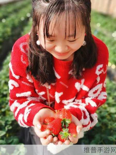 草苺ⅰos：草莓的奇幻冒险：探索甜蜜与梦想的旅程