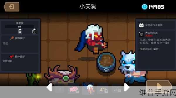 元气骑士手游攻略,如何快速提升宠物亲密度