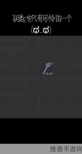 暗区突围好友添加全攻略,详细步骤与技巧揭秘