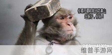 两人生猴子拔萝卜在线播放：探索两人的奇幻冒险：猴子与萝卜的欢乐之旅