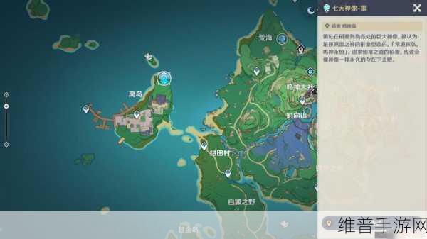 原神雷主与雷国队输出手法深度攻略
