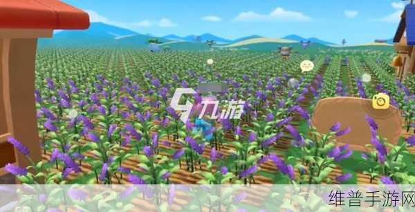 摩尔庄园薰衣草花梗获取攻略，详尽位置介绍