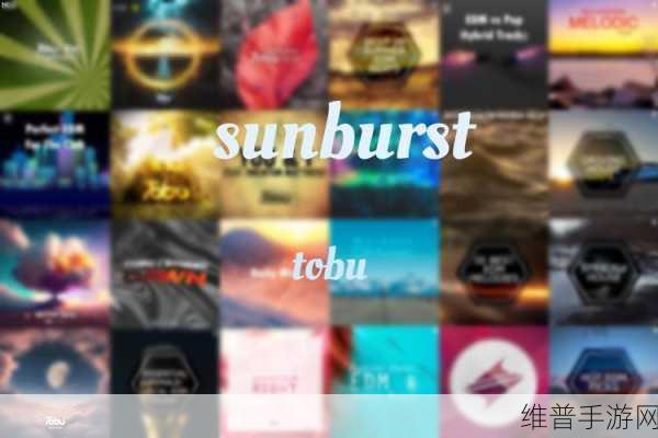 tobu7tobu8HD9中国：探索Tobu7与Tobu8HD9在中国市场的潜力与机遇