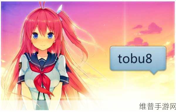 tobu7tobu8HD9中国：探索Tobu7与Tobu8HD9在中国市场的潜力与机遇