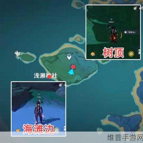 原神寝子是只猫任务全攻略指南