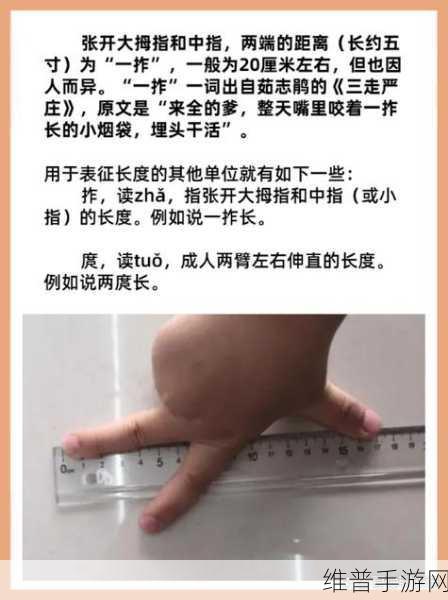 丰年经继拇中文2优惠：丰年经继拇中文2：探索传统文化与现代生活的融合之旅