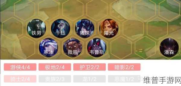 云顶之弈骑士暗影游侠流搭配与玩法深度攻略