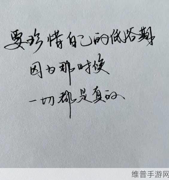 打开你会回来感谢我的2024：未来的你会因我的帮助而倍感珍惜与感谢