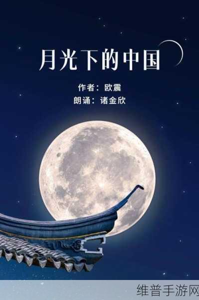 男女之间的唏唏哩哩小说：月光下的秘密：她与他的唏嘘爱恋