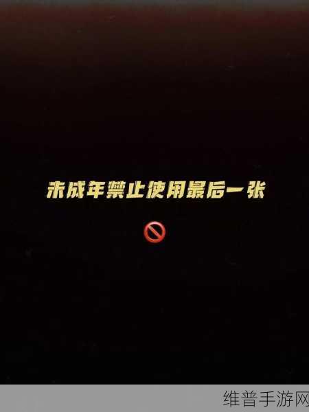 18岁禁止访问:未成年人保护政策:18岁以下禁止访问的必要性与影响分析