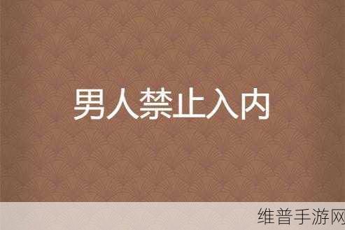 未满18禁止入内网站:未满18岁者禁止入内的内容网站扩展指南与建议