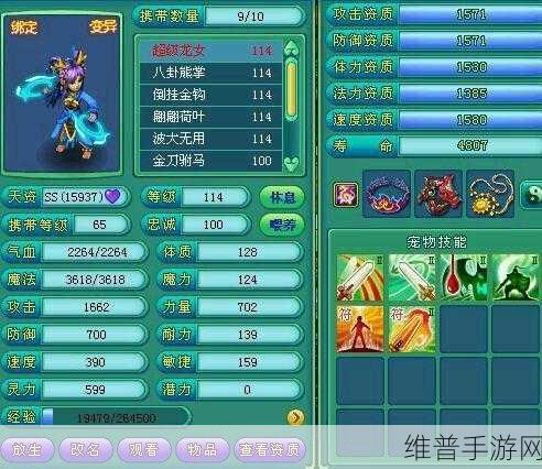 神武2手游，高胜率PK攻略，全面详解PK技巧与策略