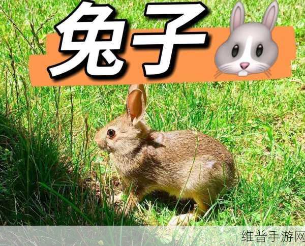 老师衣服下的兔子抖来抖去：课堂上，兔子在老师衣服下欢快地跳跃着。