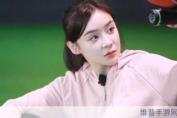 徐海乔吴昕领证了吗：徐海乔与吴昕是否已经领证？最新动态揭秘！