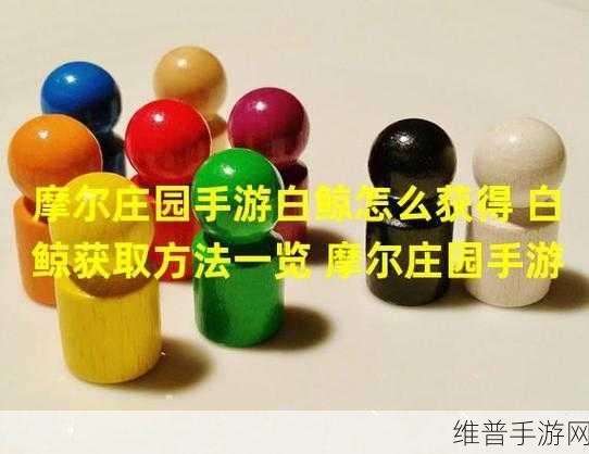 摩尔庄园白鲸获得方法详解，开启你的探险之旅，探索无尽乐趣