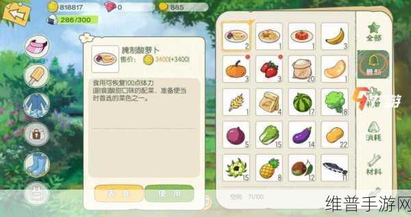 小森生活深度攻略，解锁茄子天妇罗的美味秘籍