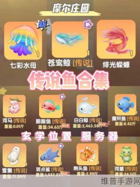 摩尔庄园手游神秘湖鱼类全揭秘及钓取秘籍