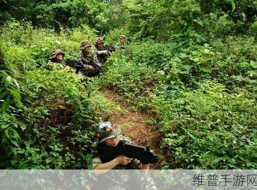 国区真人一区：拓展国区真人一区，提升用户体验与互动乐趣。