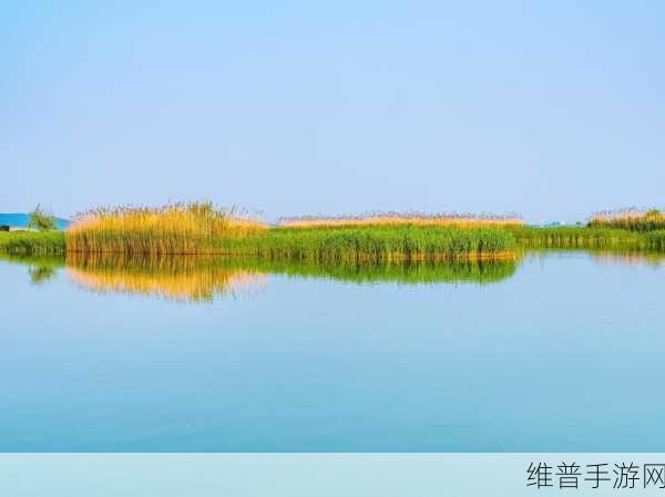 国区真人一区：拓展国区真人一区，提升用户体验与互动乐趣。