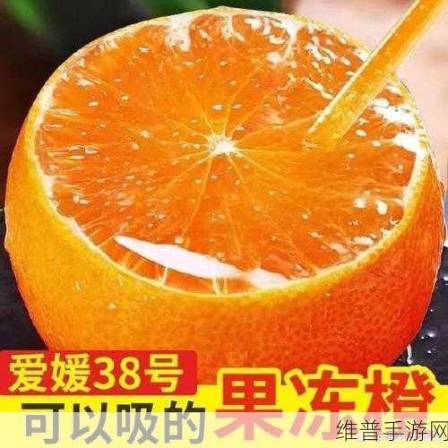 果冻男女性生活传媒：探索果冻男女性生活传媒的多元化发展与前景分析