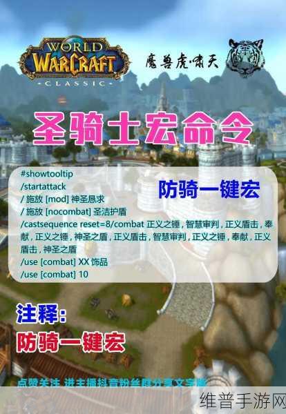 国服巫妖王之怒盗贼升级攻略：国服巫妖王之怒盗贼快速升级全攻略与技巧分享
